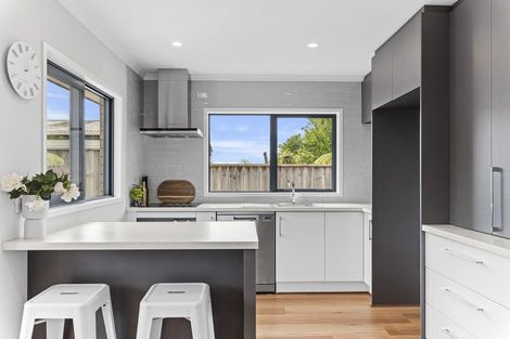 Photo of property in 25b Karaka Street, Merrilands, New Plymouth, 4312