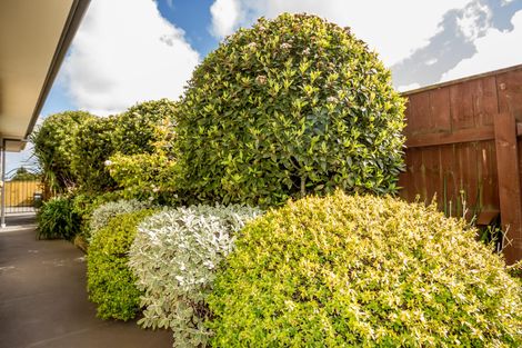 Photo of property in 30 Paisley Street, Awapuni, Palmerston North, 4412