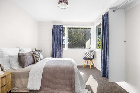 Photo of property in 8 Walsall Street, Addington, Christchurch, 8024