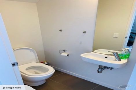 Photo of property in Nouvo Apartments, 21u6 Rugby Street, Mount Cook, Wellington, 6021