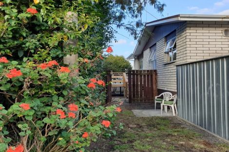Photo of property in 22 Dewe Avenue, Feilding, 4702