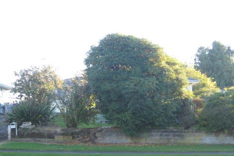 Photo of property in 38 Elizabeth Drive, Tokoroa, 3420