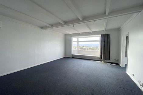 Photo of property in 60a Rakau Road, Hataitai, Wellington, 6021