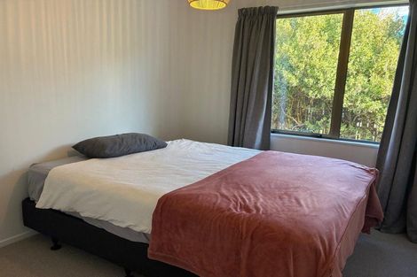 Photo of property in 48 Antimony Crescent, Cromwell, 9310