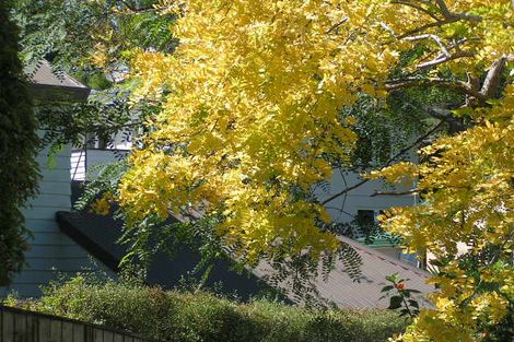 Photo of property in 3/4 Council Terrace, Northcote Point, Auckland, 0627