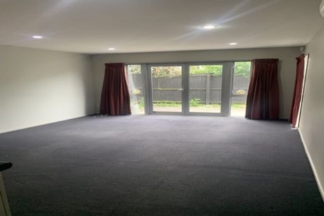 Photo of property in 25a Champion Street, Edgeware, Christchurch, 8013
