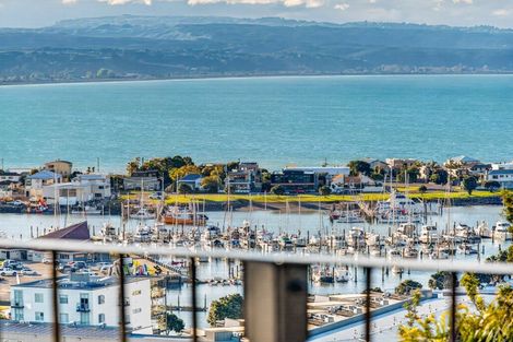 Photo of property in 40 Hospital Terrace, Hospital Hill, Napier, 4110