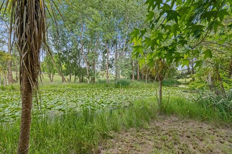Photo of property in 241a Ararimu Valley Road, Helensville, Waimauku, 0882