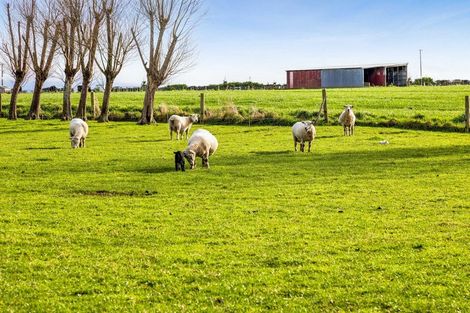 Photo of property in 183 Boylan Road, Te Roti, Hawera, 4673