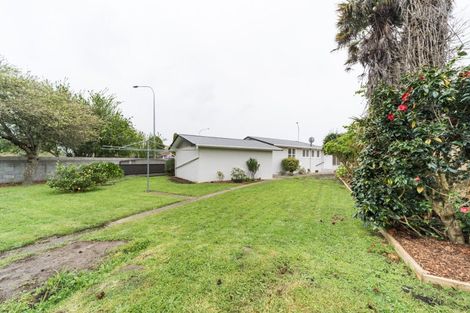 Photo of property in 49 Pitama Road, Awapuni, Palmerston North, 4412