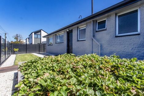 Photo of property in 243 Selwyn Street, Spreydon, Christchurch, 8024