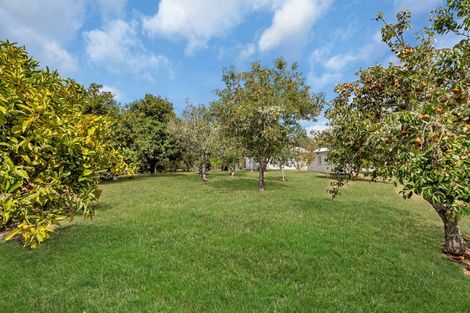 Photo of property in 285 Pataua North Road, Whareora, Whangarei, 0175