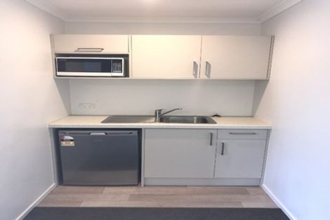 Photo of property in 2u4 Palmerston Street, Hamilton Central, Hamilton, 3204