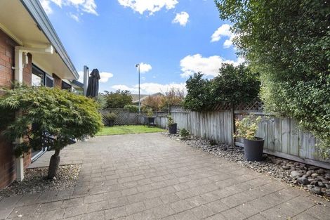 Photo of property in 16 Hastings Place, Hamilton Lake, Hamilton, 3204