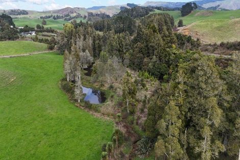 Photo of property in 305 Waitetuna Valley Road, Waitetuna, Raglan, 3295
