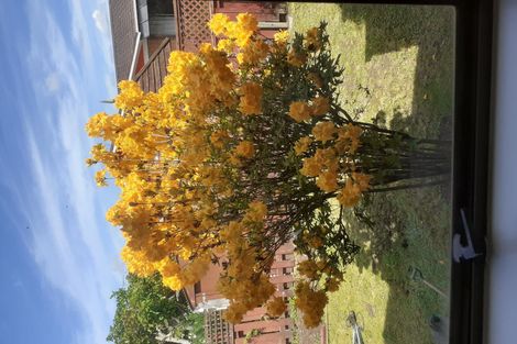 Photo of property in 71b Queen Street, Pukekohe, 2120