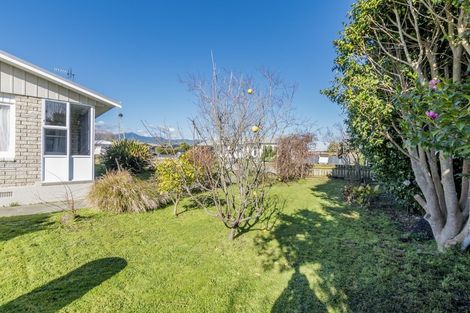 Photo of property in 43 Parsons Avenue, Levin, 5510