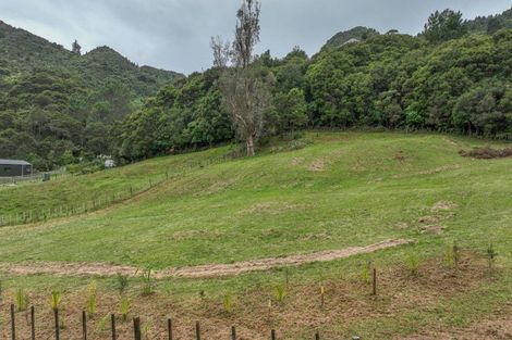 Photo of property in 6b Tapu Creek Farms, Tapu, Thames, 3575