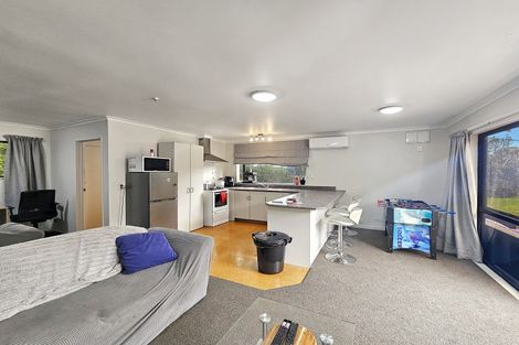 Photo of property in 114 Arapaepae Road, Levin, 5510