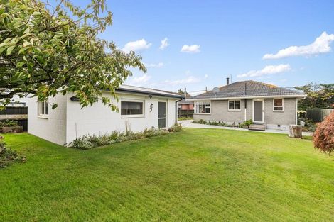 Photo of property in 113 Beach Road, North New Brighton, Christchurch, 8083