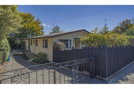 Photo of property in 156 Le Cren Street, Seaview, Timaru, 7910