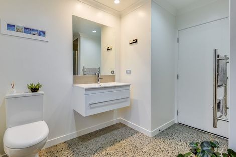 Photo of property in 21a Darley Street, Maeroa, Hamilton, 3200