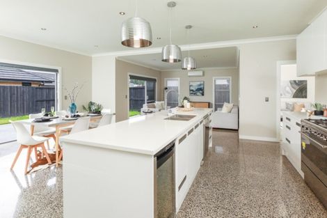 Photo of property in 81 Roy Hilton Drive, Flagstaff, Hamilton, 3210