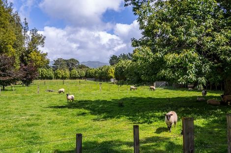 Photo of property in 977 Kakariki Road, Eketahuna, 4995