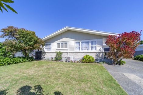 Photo of property in 24 Bill Hercock Street, Pirimai, Napier, 4112