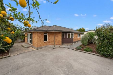 Photo of property in 8a Hobson Street, Maeroa, Hamilton, 3200