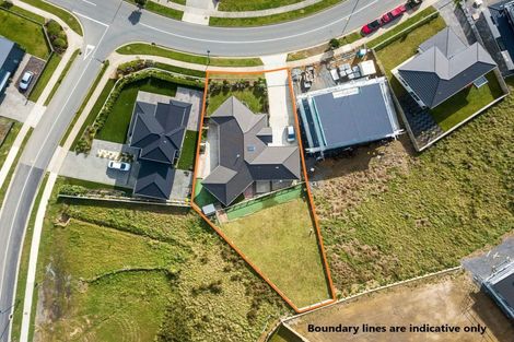Photo of property in 117 Queen Charlotte Drive, Aotea, Porirua, 5024