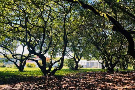 Photo of property in 717a No 3 Road, Te Puke, 3183