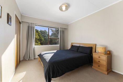 Photo of property in 51 Leefield Street, Blenheim, 7201