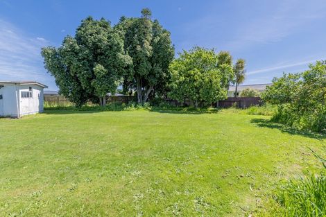 Photo of property in 18 Konini Street, Levin, 5510