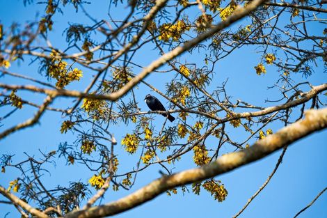 Photo of property in 48 Poland Street, Waikino, Waihi, 3682