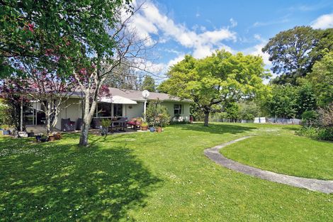 Photo of property in 49b Cornwall Street, Masterton, 5810