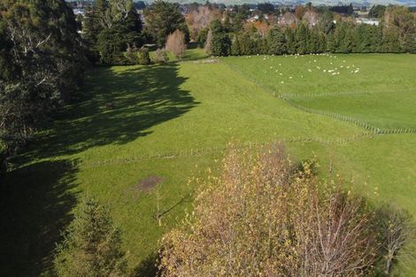 Photo of property in 241 Adelaide Road, Dannevirke, 4930