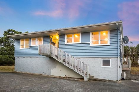 Photo of property in 21 Desert Gold Street, Ascot Park, Porirua, 5024