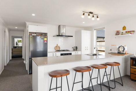 Photo of property in 3u2 Paul Crescent, Fairfield, Hamilton, 3214
