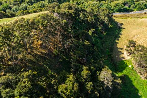 Photo of property in 305 Waingaro Road, Ngaruawahia, 3793