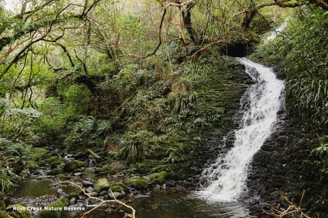 Photo of property in 720 Highgate, Maori Hill, Dunedin, 9010