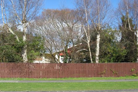 Photo of property in 33 Milne Street, Marton, 4710