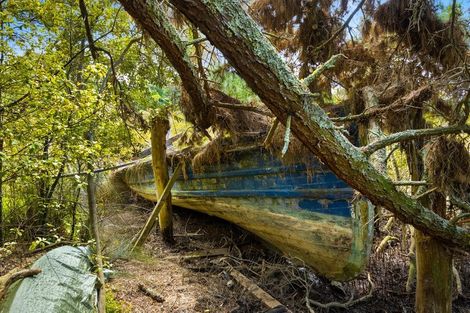Photo of property in 192 Colwill Road, Massey, Auckland, 0614