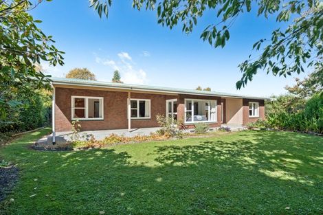 Photo of property in 13 Mole Street, Greytown, 5712