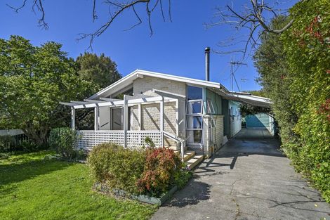 Photo of property in 800 Lumsden Road, Akina, Hastings, 4122