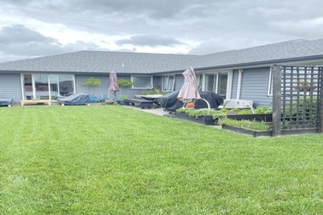 Photo of property in 3 Boyce Crescent, Cambridge, 3434