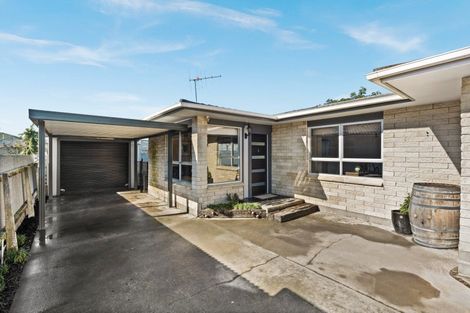 Photo of property in 3/505 Burnett Street, Mahora, Hastings, 4120