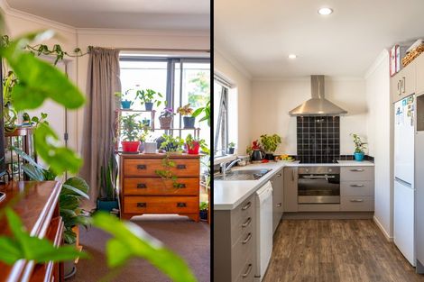 Photo of property in 79d Albert Street, Hamilton East, Hamilton, 3216