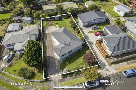 Photo of property in 11 Denyer Place, New Lynn, Auckland, 0600