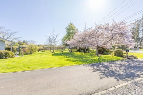 Photo of property in 18 Hatuma Road, Waipukurau, 4200